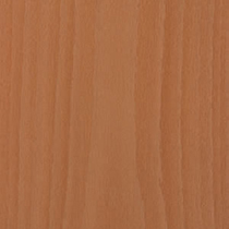 steambeech veneer